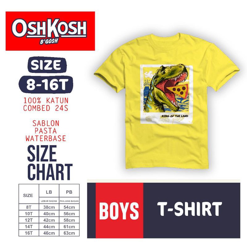 boys tshirt