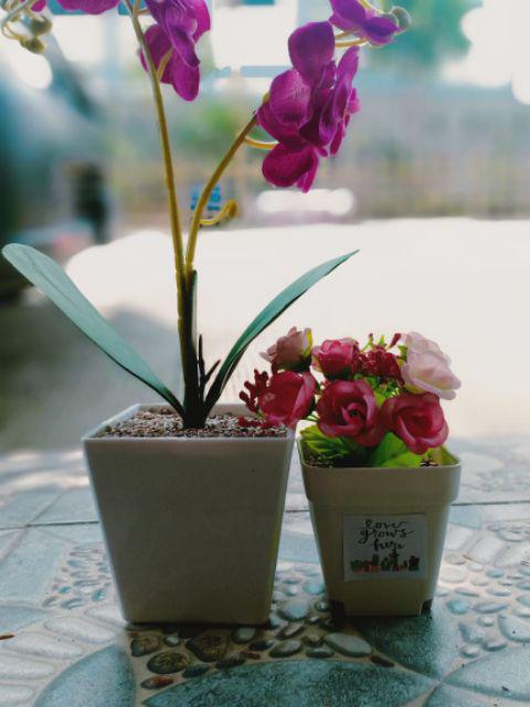 Set Bunga Plastik Anggrek1 Warna Warni Dengan Pot Melamin Putih Hexagonal Besar