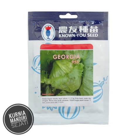 Benih Selada Crop Lettuce Head GEORGIA Known You Seed 10 Gram