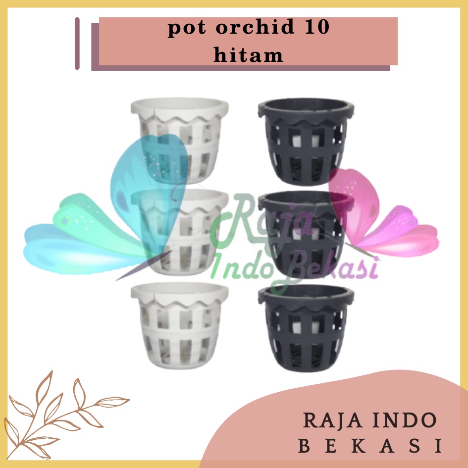 Pot Anggrek Orchid 10cm Putih Hitam Pot Anggrek Plastik 10 Cm Murah / Pot Anggrek Sabut Kelapa Kayu