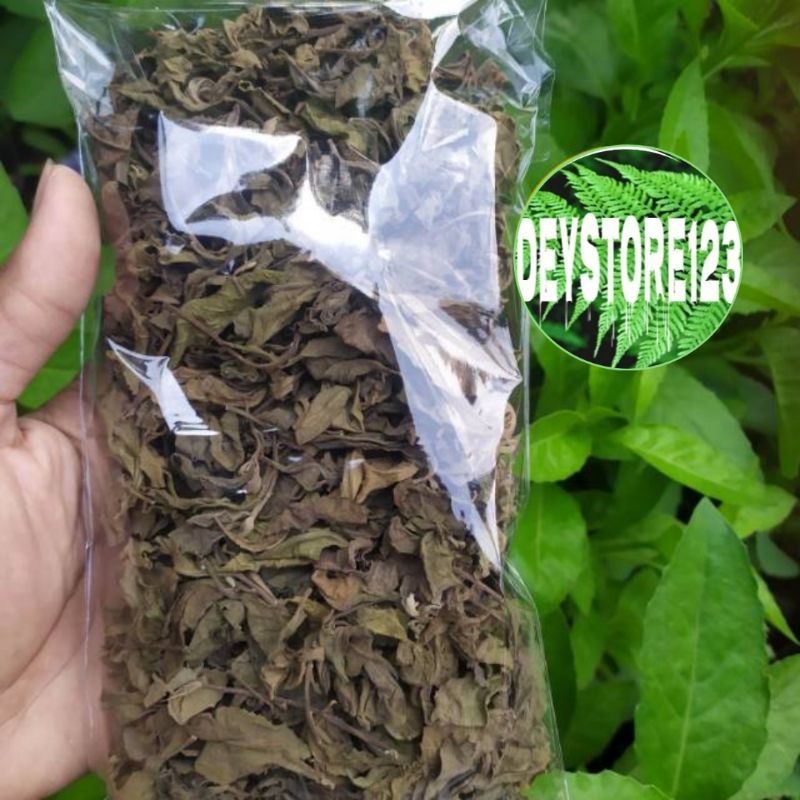 

Daun beluntas kering per bungkus
