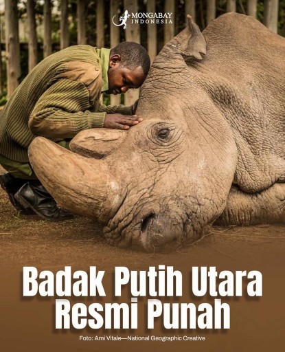 Taffware E-spark Focus Kotak Rokok 20 Slot Dengan Korek Elektrik Removable