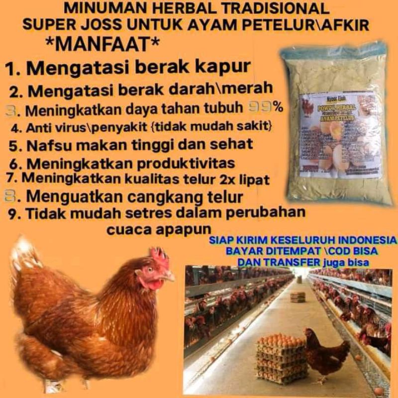

minuman herbal untuk ayam ptelur