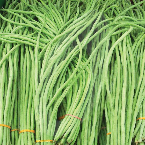 

Bandung Sayur Segar - Kacang Panjang 250 gram