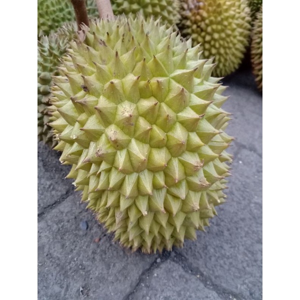 

Durian