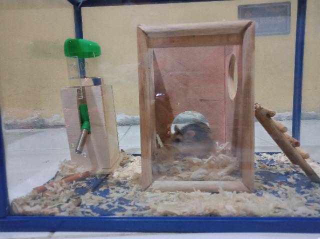 MAINAN HAMSTER - HIDING TOWER HAMSTER