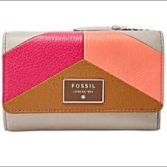 Wallet fossil