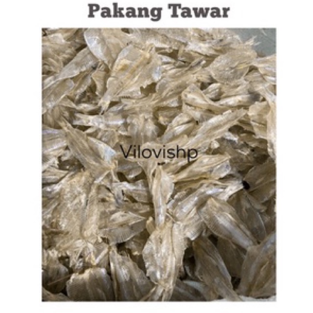 

Pakang Tawar 1kg