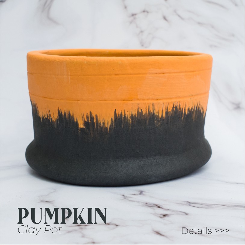 PUMPKIN CLAY POT [ pot gerabah ]