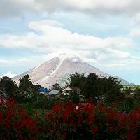 tjhungalingoktaviana