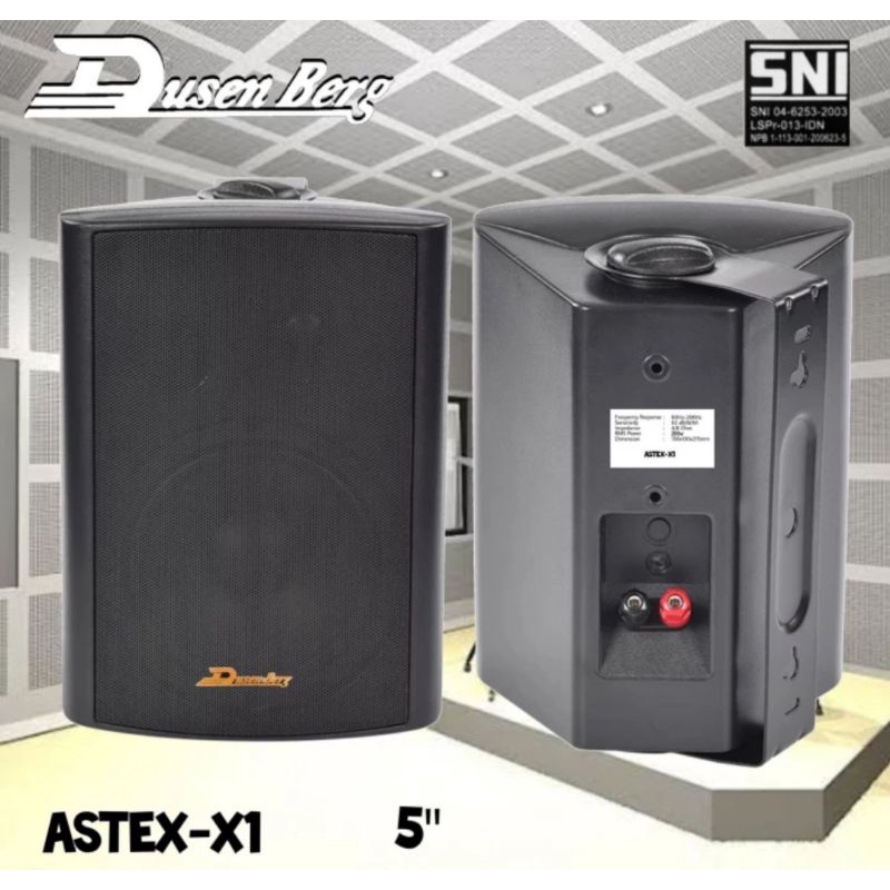 Karaoke Set Mini DUSENBERG Astex X1 - 2 Mic Wireless, Amplifier Karaoke Youtube