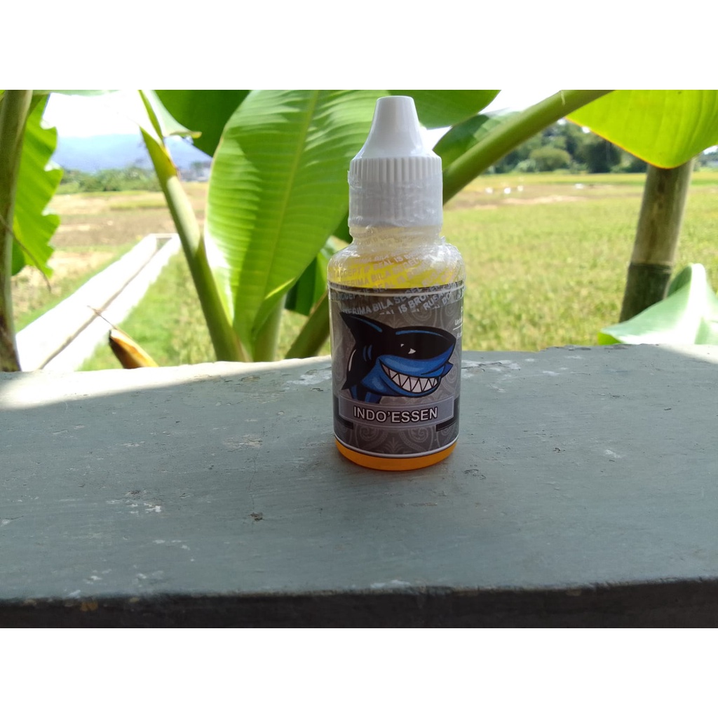 ESSEN IKAN MAS SUPER JITU AROMA AMIS WANGI PISANG RAJA SARI KROTO