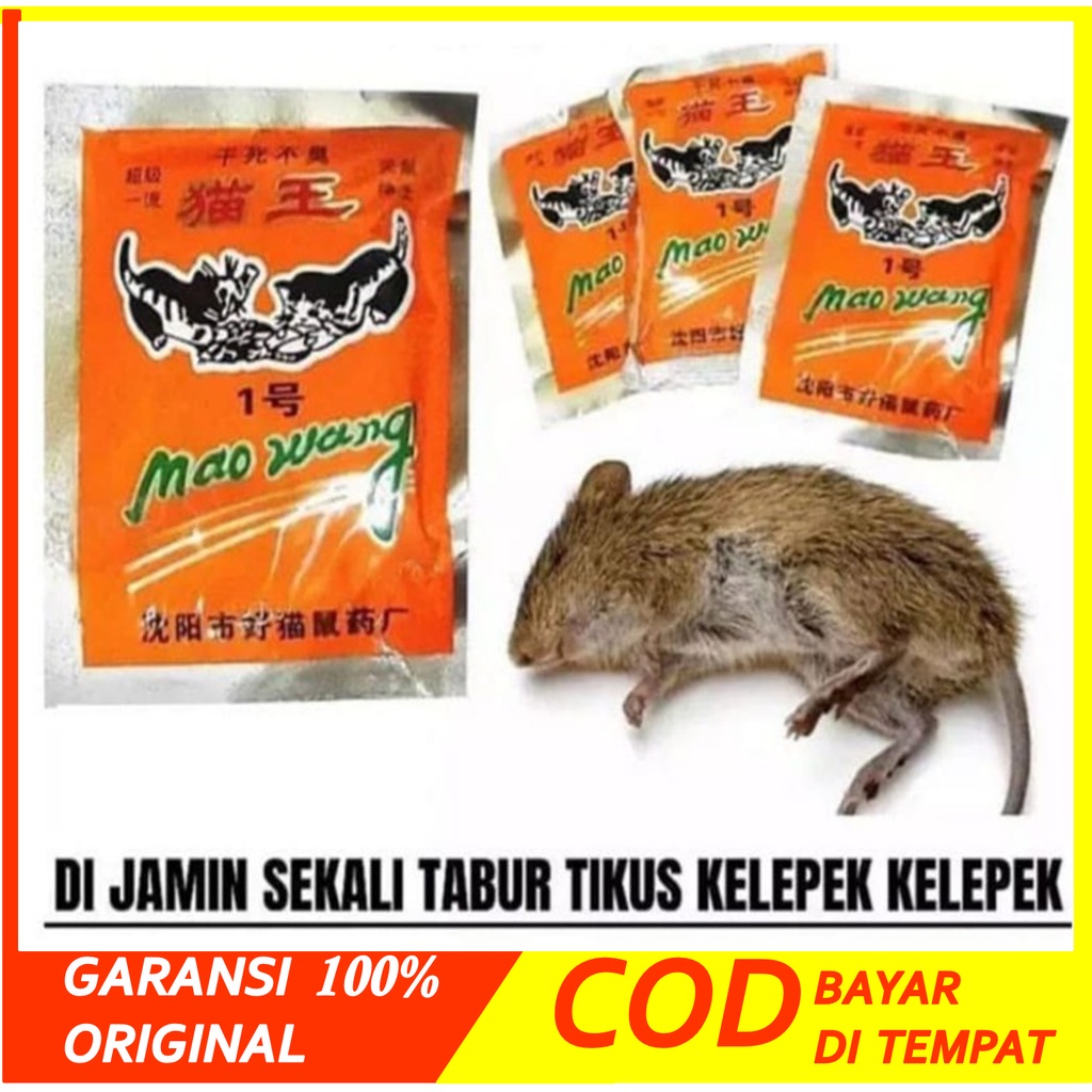 Jual Obat Tikus Got Mobil Racun Paling Ampuh Basmi Curut RAMTUS Mati