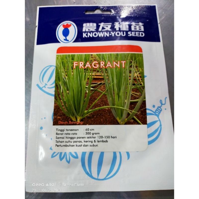 Bawang daun fragrant bawang prei kemasan 10gr benih daun bawang