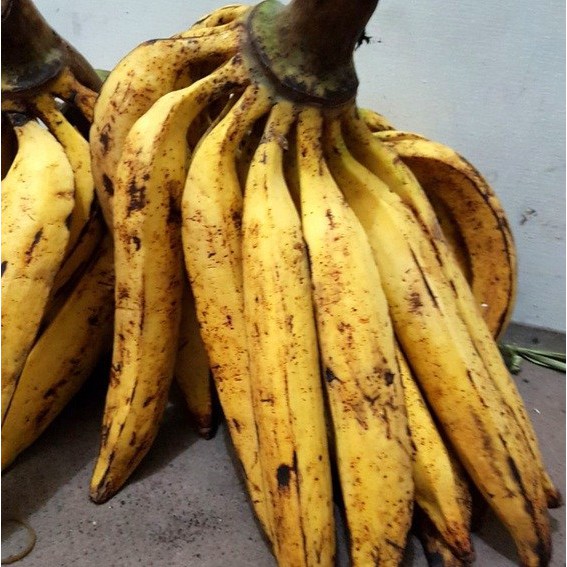 Pisang Tanduk Per Biji