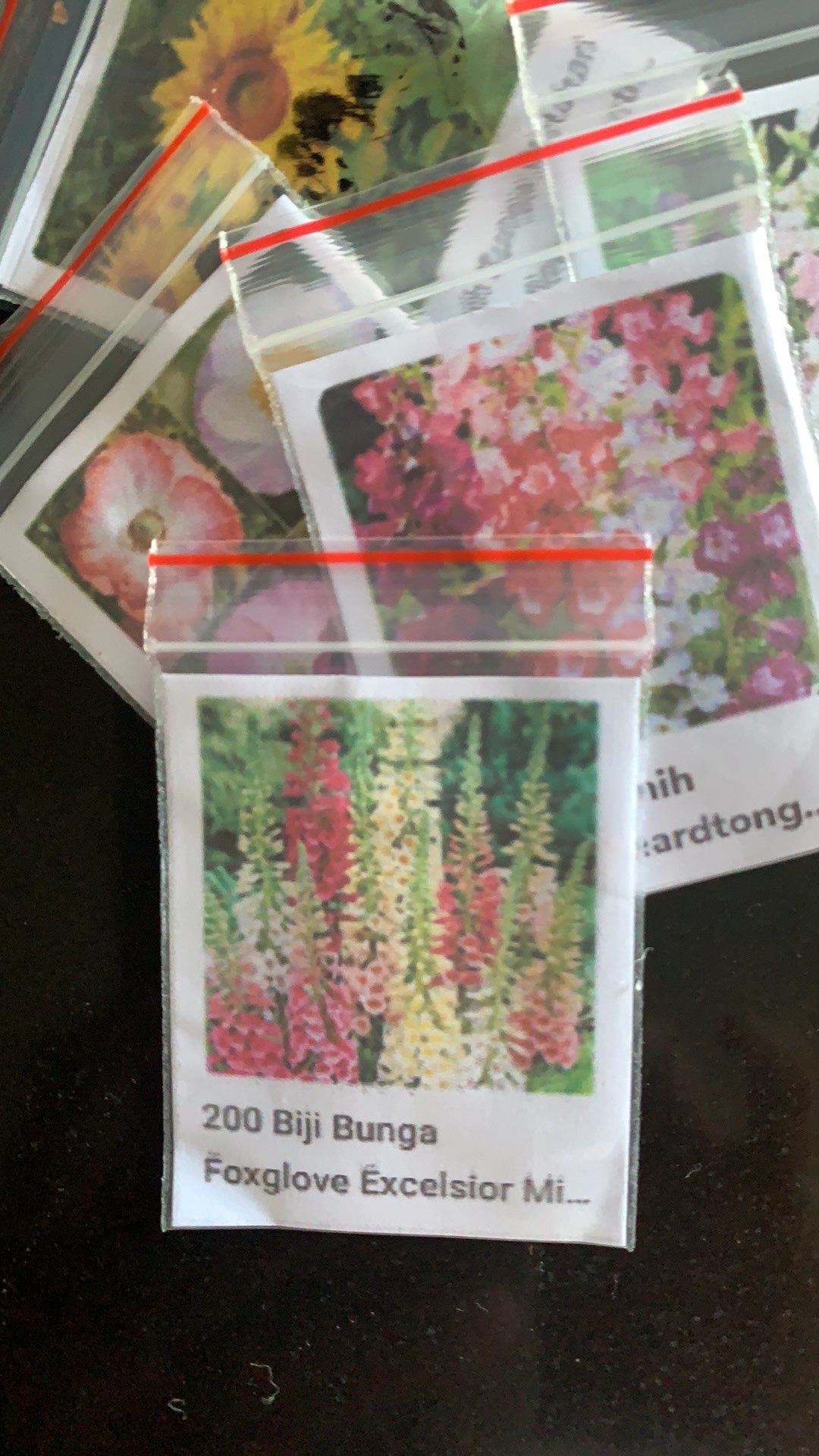 200 Biji Bunga Foxglove Excelsior Mix Digitalis Purpurea Flower Benih