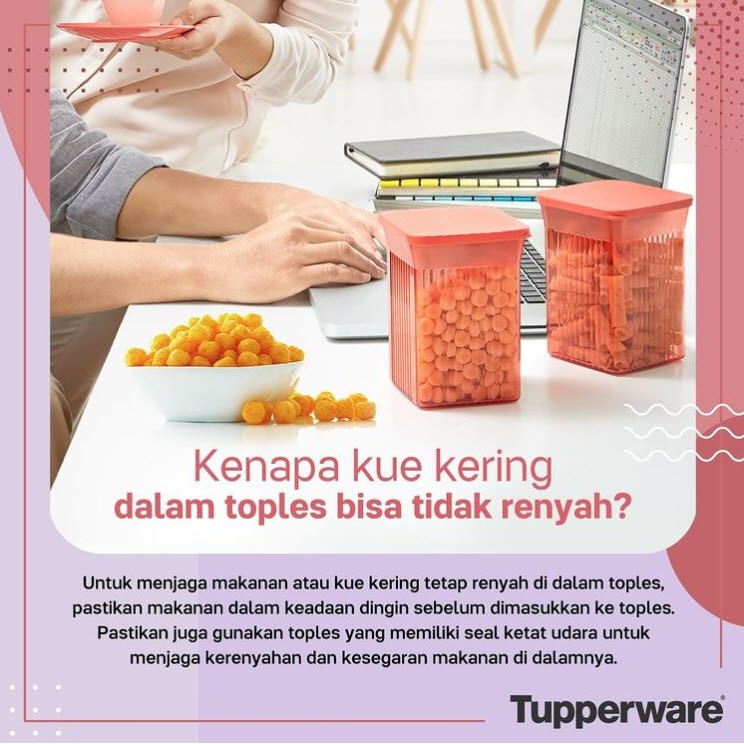 Family Mate (PROMO TUPPERWARE MURAH)