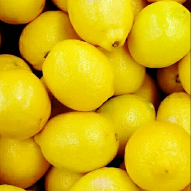 

Lemon import perkilo