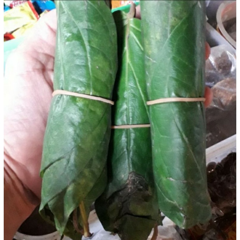 

Daun sirih/1iket