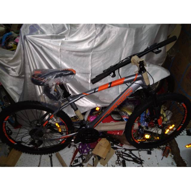 MTB Phoenix PX-178-XR 24inch