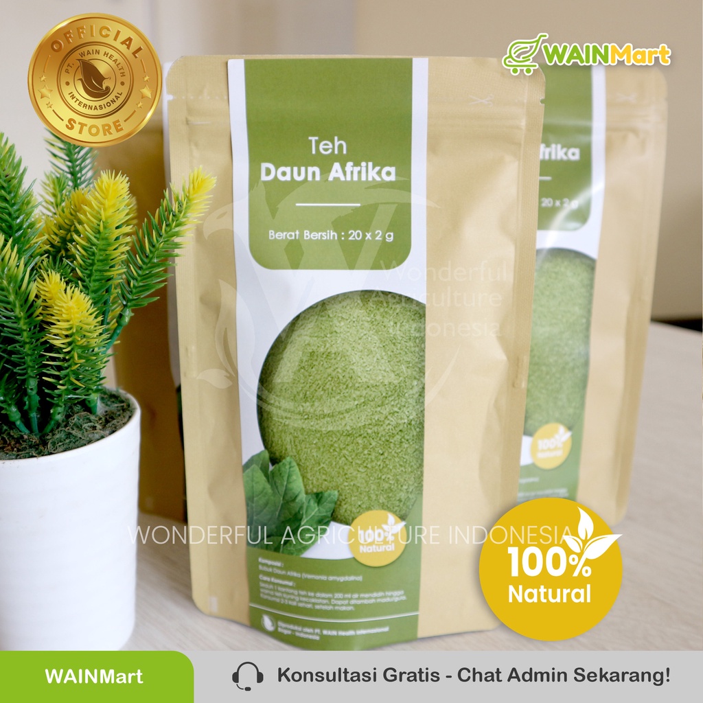 Teh Celup Daun Afrika Herbal Ampuh Menurunkan Koresterol dan Darah Tinggi