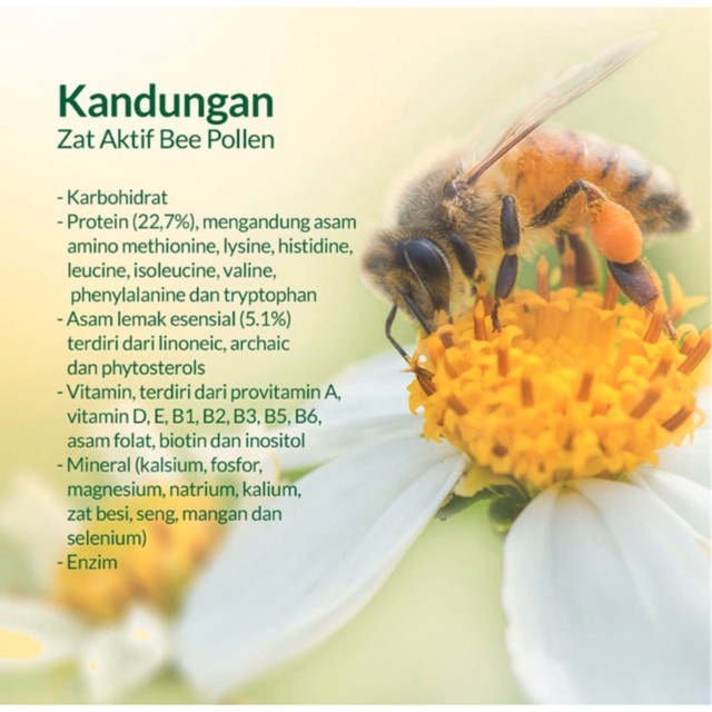 ORIGINAL Nutrimax Bee Propolis Plus Bee Pollen 30s BPOM / Bee Healthy / Vitamin Daya Tahan Tubuh / LEDI MART