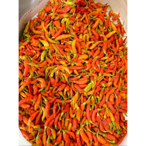 

CABE SETAN MURAH 2 KG 140.000