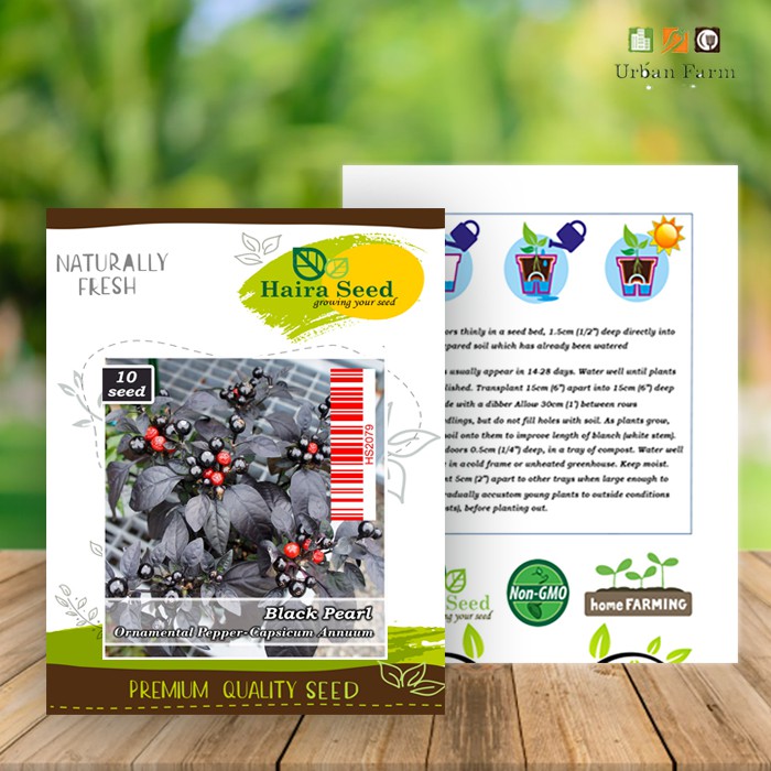 Benih-Bibit Cabe Hias Black Pearl (Haira Seed)