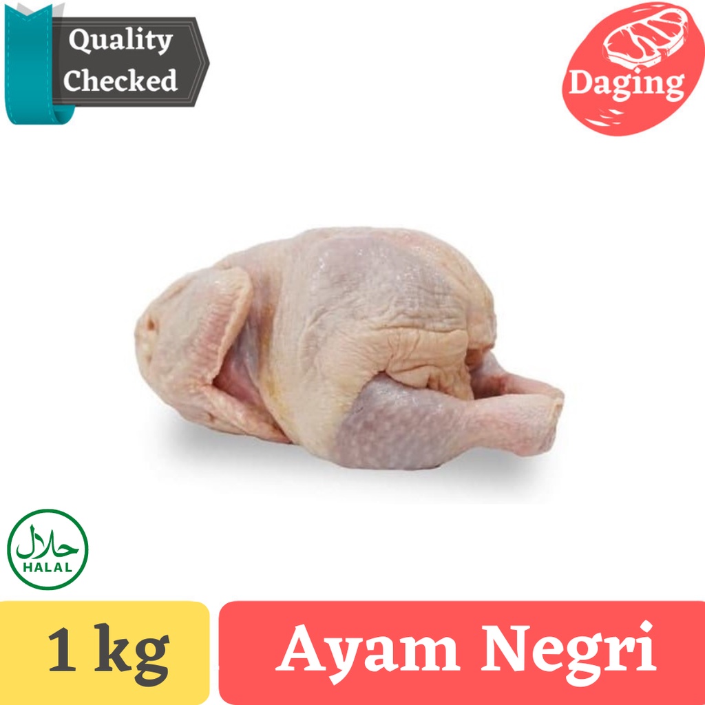 

Ayam Negeri Segar stock baru dipotong setiap subuh