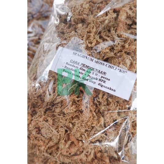 Spagnumm moss - premium chili original- spagnum moss -carnivora plant - spaghnum moss anggrek