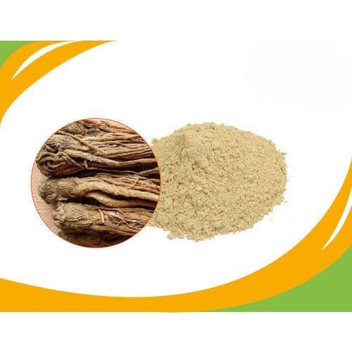 

ANGELICA EXTRACT POWDER ANGELICA BUBUK 50GR