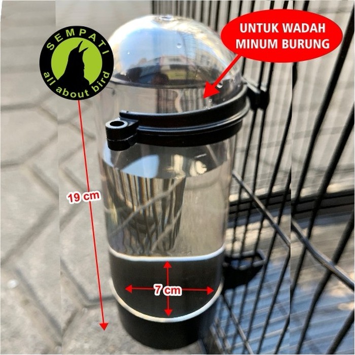 DISPENSER SWEET CEPUK WADAH MINUM BURUNG