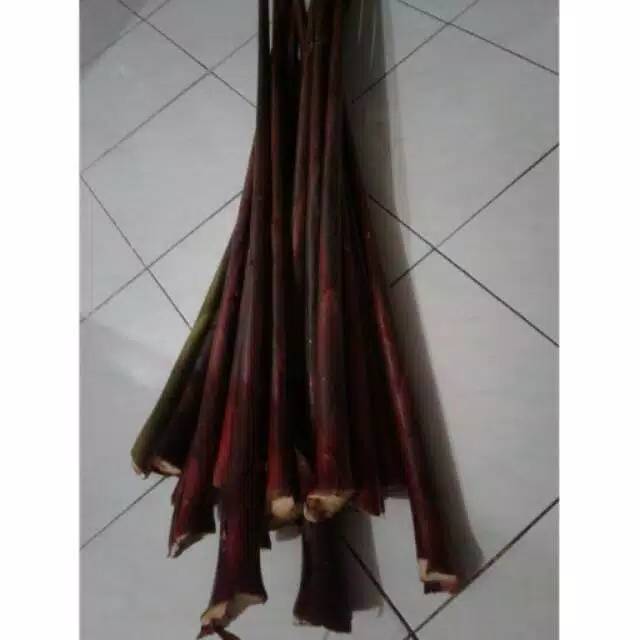 

Batang rias medan ,1 batang 10000