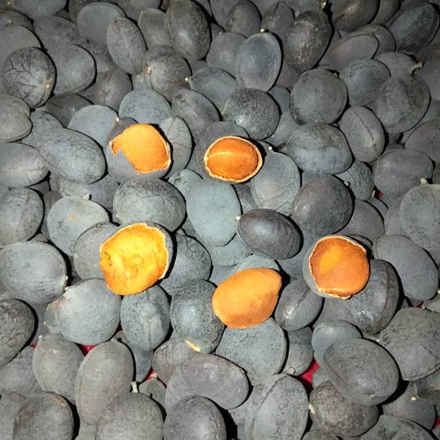 

Asam ranji/keranji 500 gram