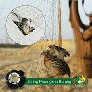 Jaring Burung Emprit Penghalau Hama Burung Ukuran 5 X 90 Meter