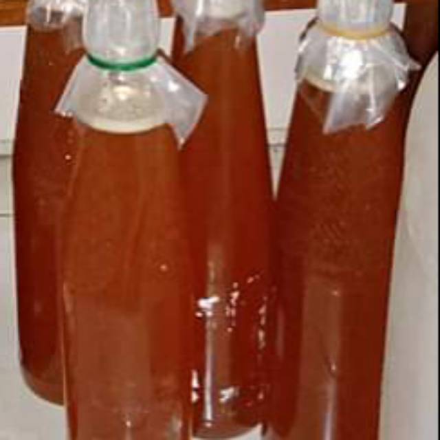 

Madu asli Dari Lebah hutan 100%asli