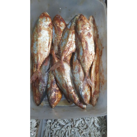 

PEDA MERAH