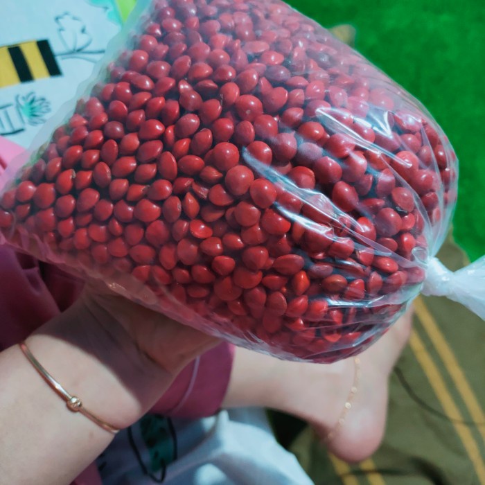 

Biji Saga Mentah Murni 1kg Benih Bibit Organik Superfood Multivitamin
