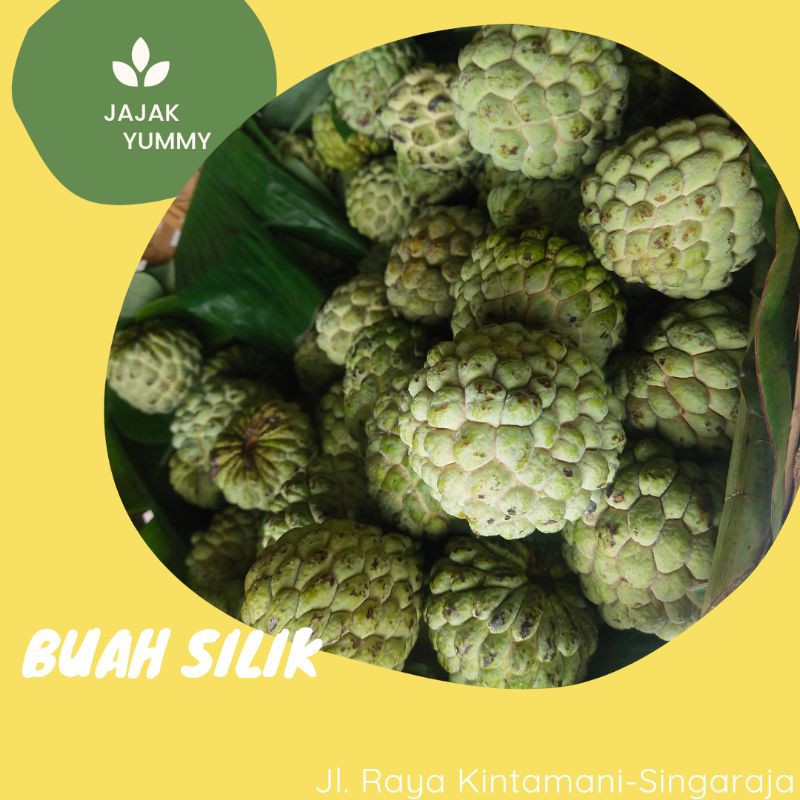 

Buah Silik