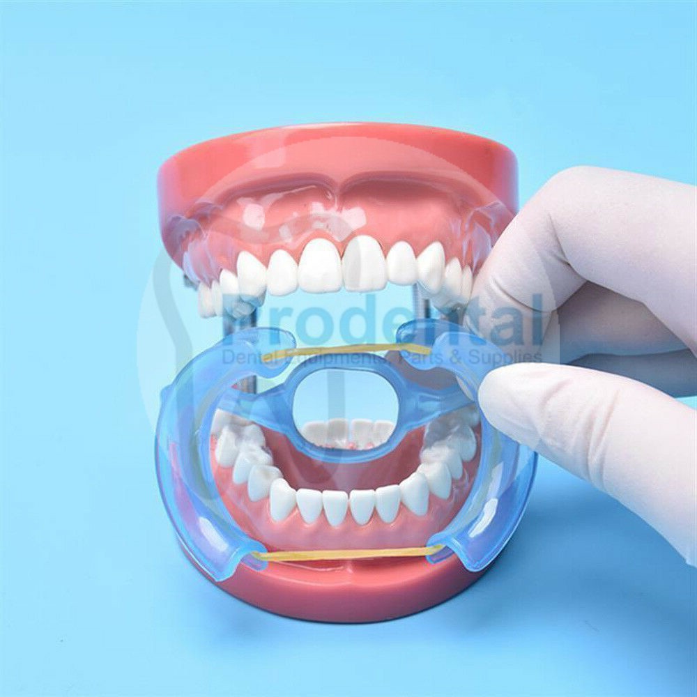 Dental cheek retractor bleaching retraktor arc flex mirror pembuka mulut dengan cermin mouth gate gag opener whitening