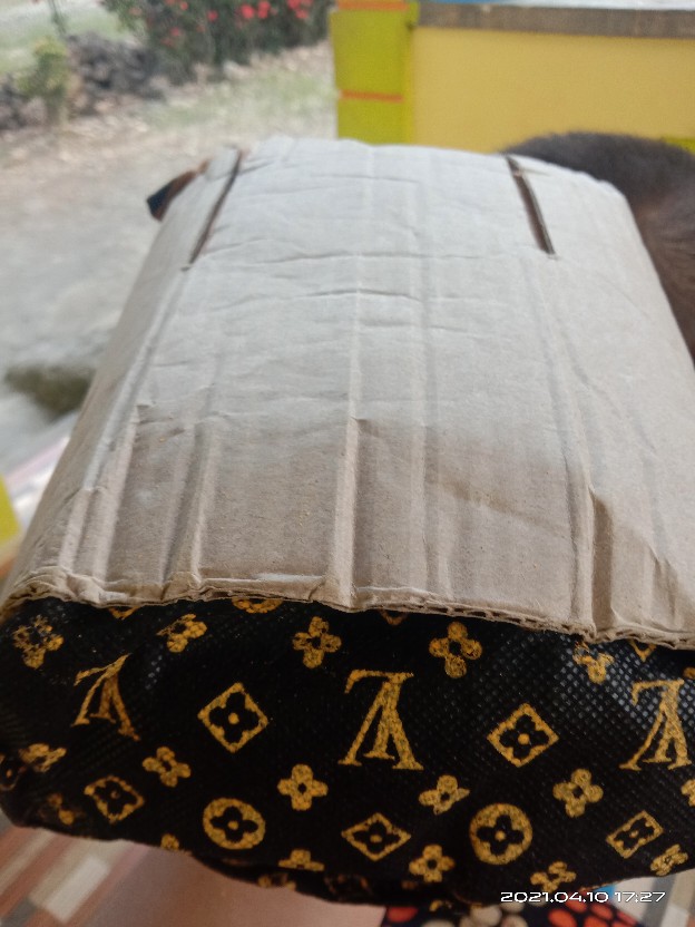 Bibit Jagung. Benih Jagung Hibrida F1 Pertiwi 3 (1 Kg)