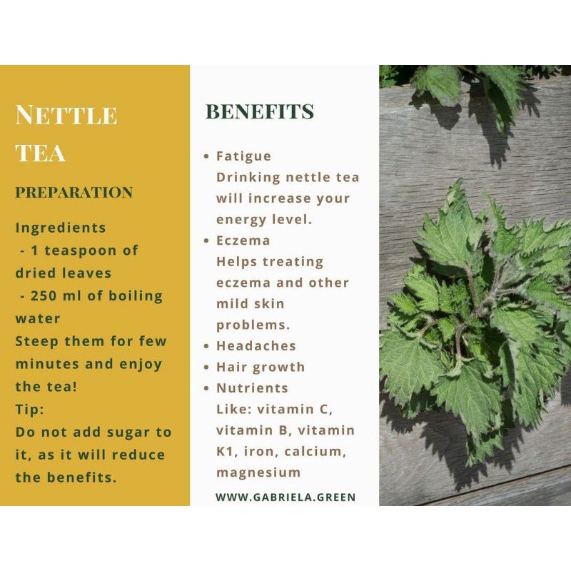 Nettle Dandelion Tea : Stinging Nettle Leaf &amp; Dandelion 30 Tea Bag