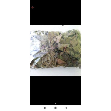 

daun salam kering original 500gram