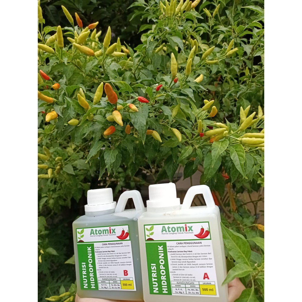 RB Nutrisi Hidroponik ABmix (Atomix) untuk sayuran dan buah buahan, 500ml