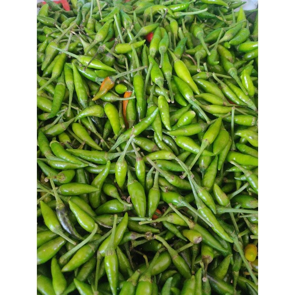 

KIRIM INSTAN CABE RAWIT IJO