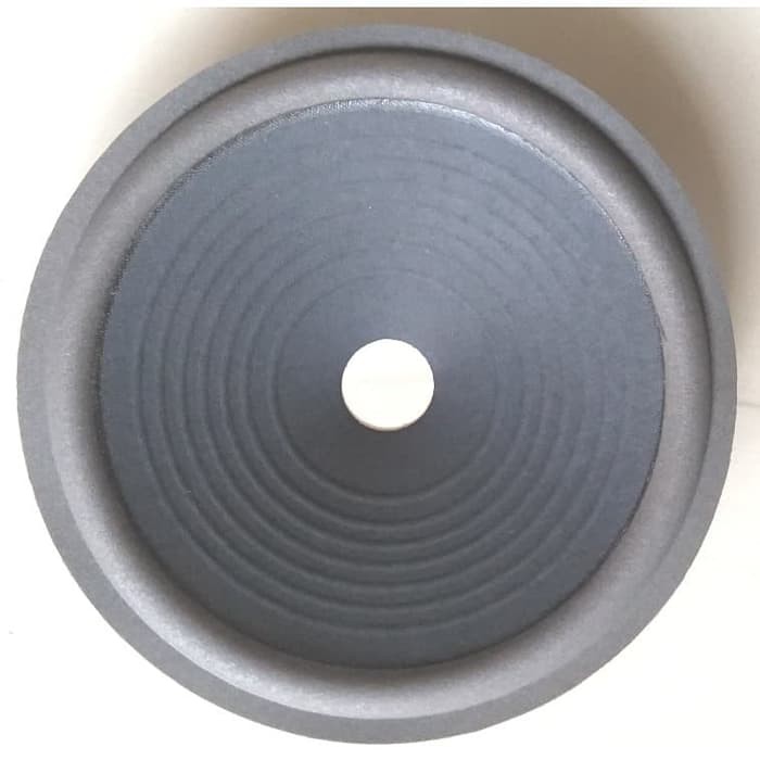 Cone & Spoon Speaker 10 inch Lubang Besar for Audio speaker Part Er~183