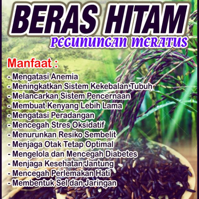 

Beras Hitam Pegunungan Meratus