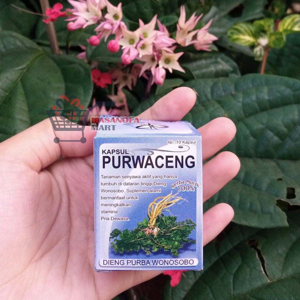 

Kapsul Purwaceng Super Dieng Purba (Isi 10 Pcs Dalam Bentuk Kapsul) Obat Herbal Asli Dieng