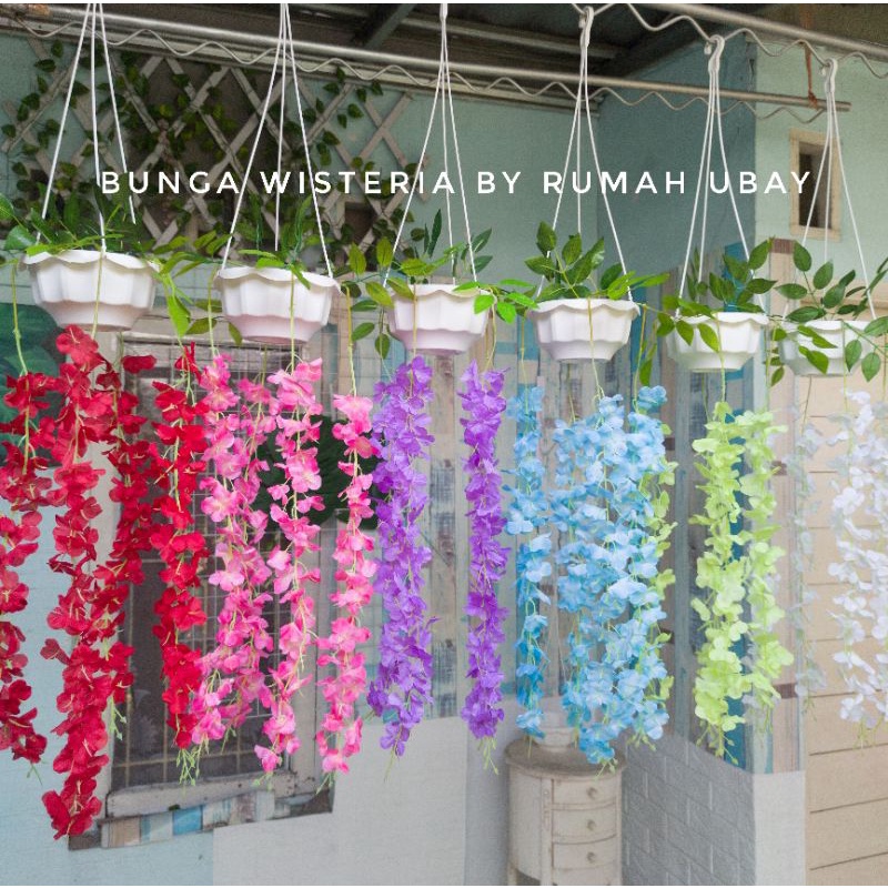 [COD]✓Bunga WISTERIA JUMBO + POT GANTUNG