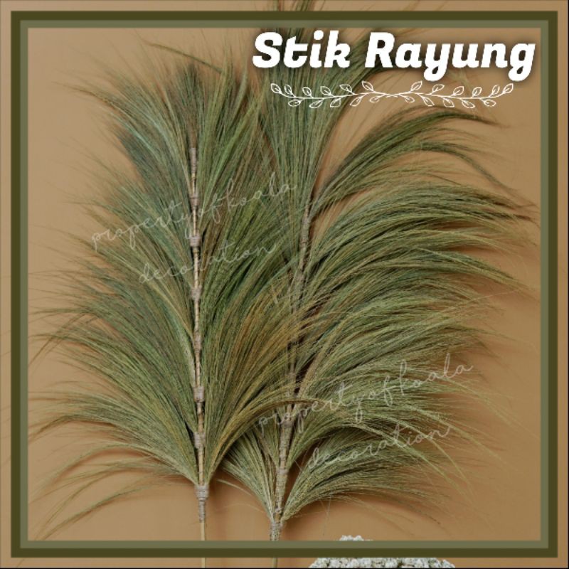 STIK RAYUNG ORIGINAL/PAMPAS LOKAL/DEKORASI RUSTIK/HOME DECOR INTERIOR